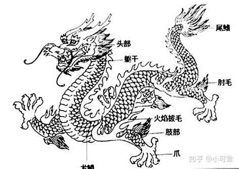 1964 龍 五行
